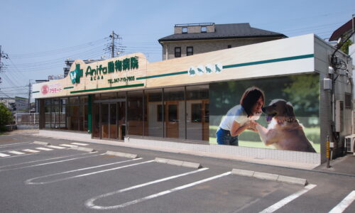 あにふぁ動物病院
