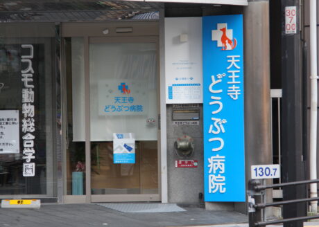 天王寺どうぶつ病院