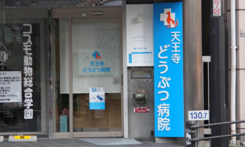天王寺どうぶつ病院