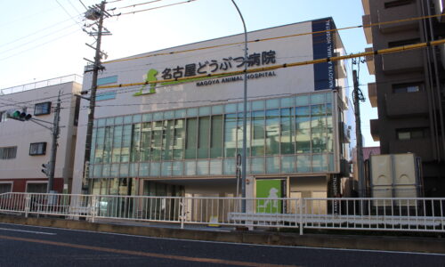 名古屋どうぶつ病院　外観