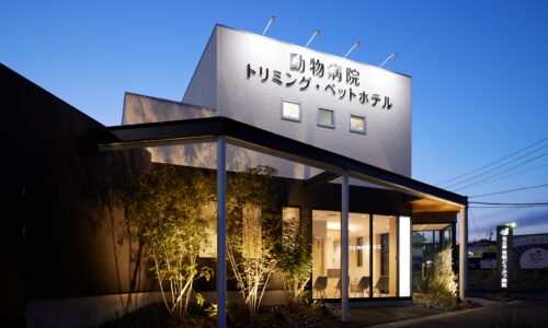 名古屋有松どうぶつ病院 外観　夕景3