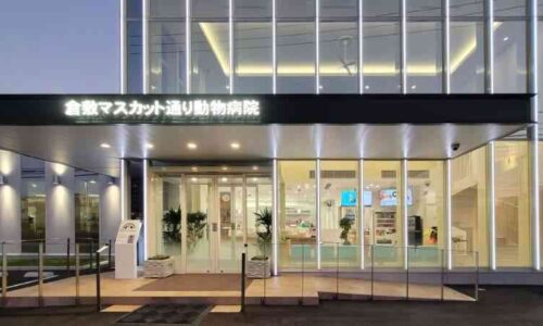 井笠動物医療センター　倉敷マスカット通り動物病院 夕景3