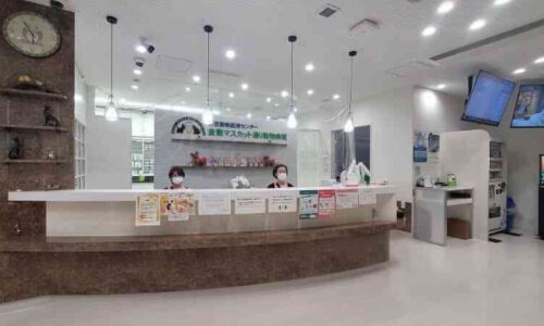 井笠動物医療センター　倉敷マスカット通り動物病院 内観2