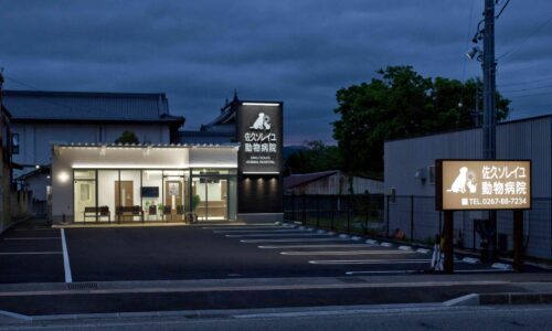 佐久ソレイユ動物病院_外観_夕景1