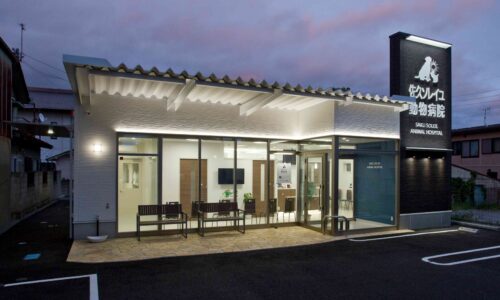 佐久ソレイユ動物病院_外観_夕景2